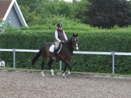 img_4627_web